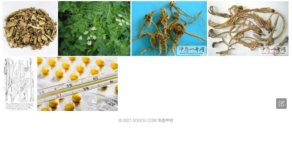 乳头前胡照片和图片/