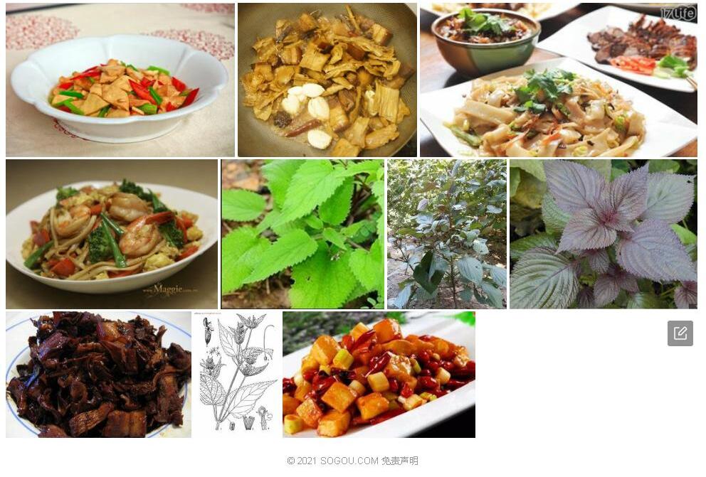 乾精菜照片和图片/