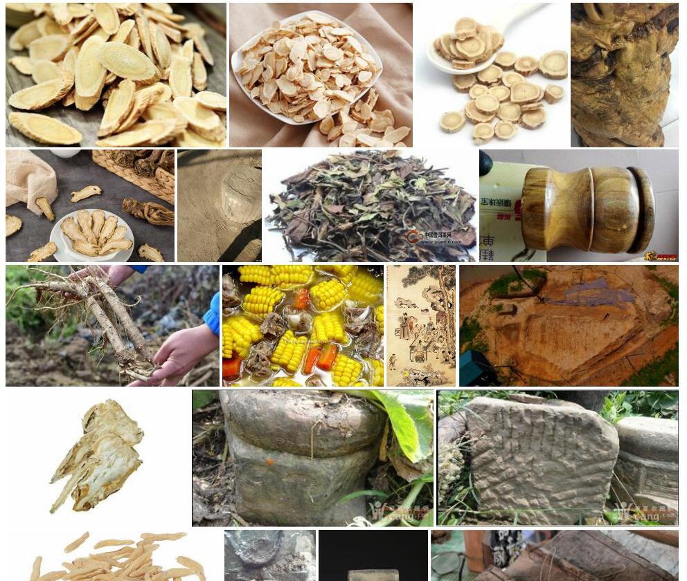 了墩黄耆照片和图片/