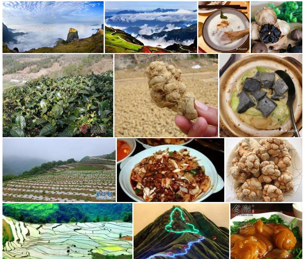 云南山黑豆照片和图片/