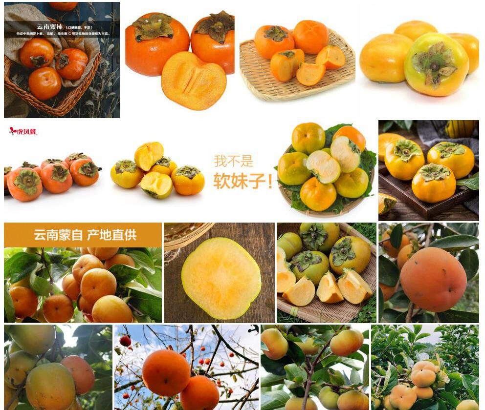 云南柿照片和图片/