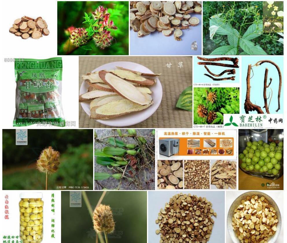 云南甘草照片和图片/