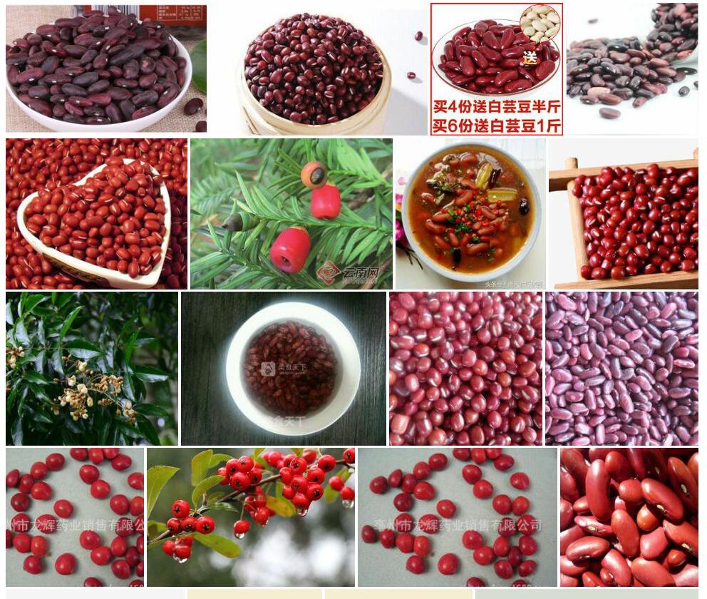 云南红豆照片和图片/