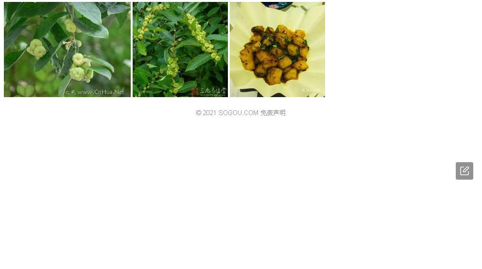 云雾算盘子照片和图片/