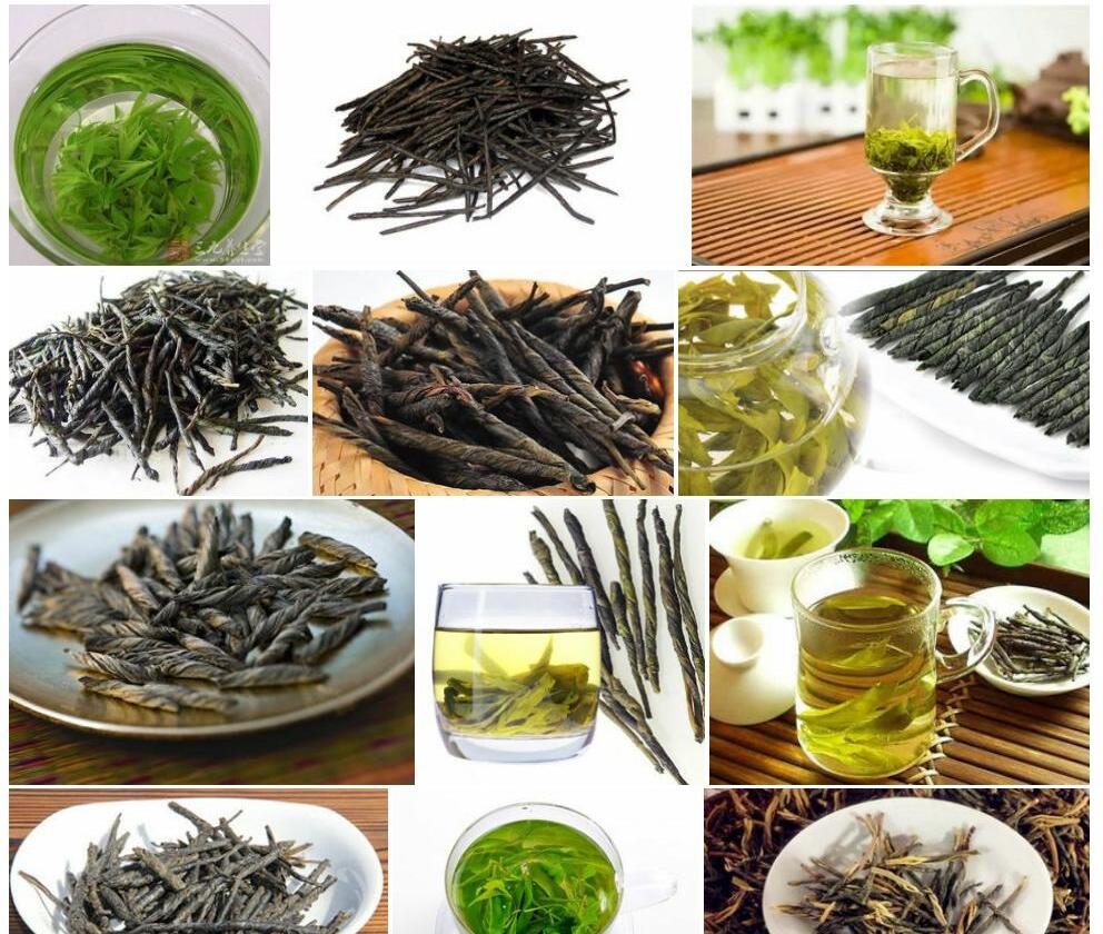 五棱苦丁茶照片和图片/