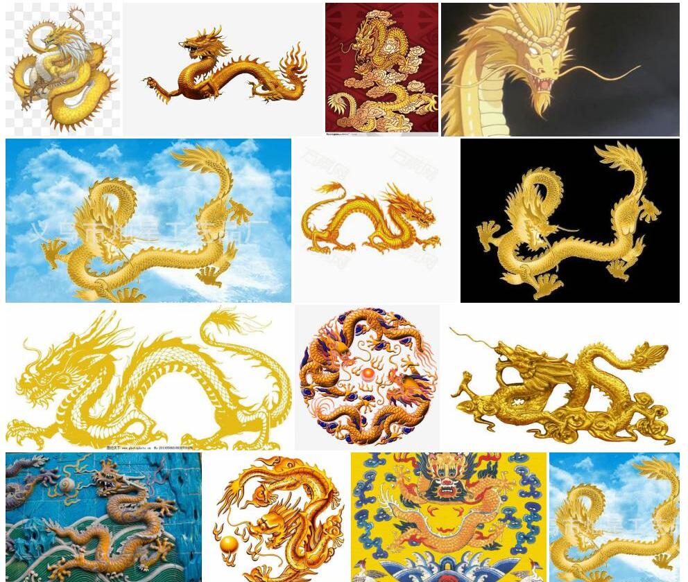 五爪金龙照片和图片/