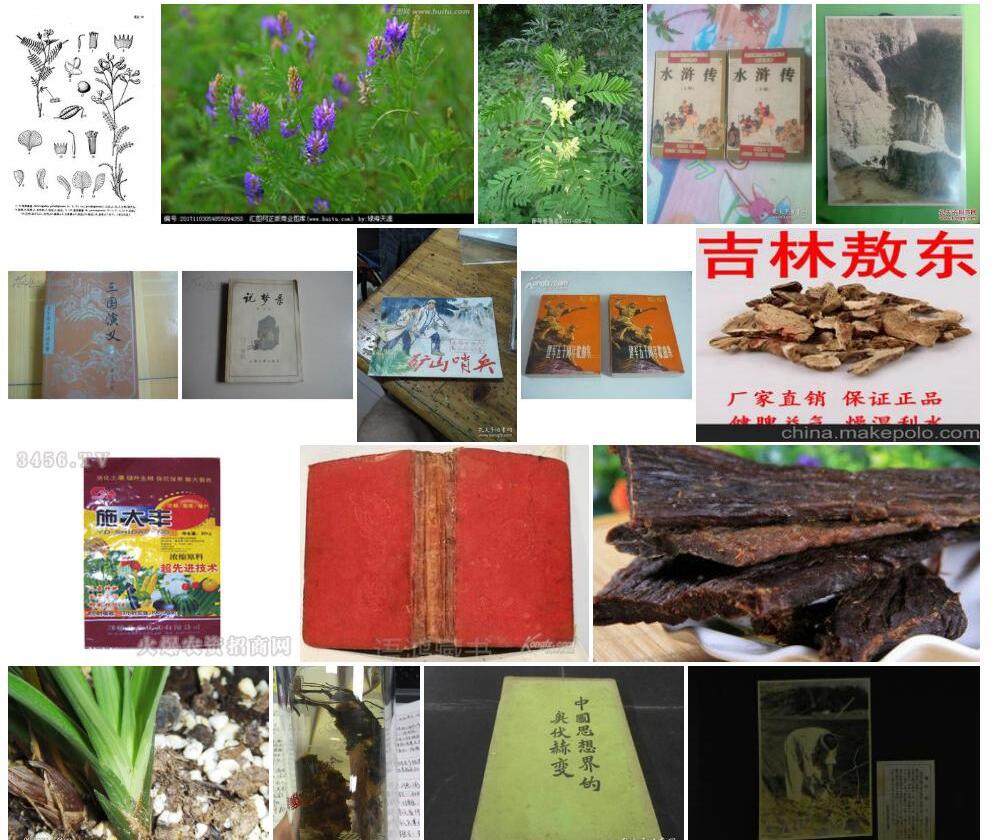 亚东黄耆照片和图片/