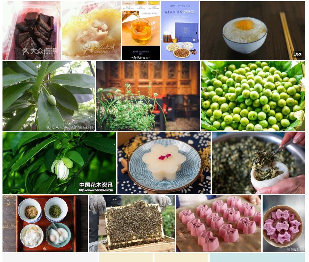 仁昌玉叶金花照片和图片/
