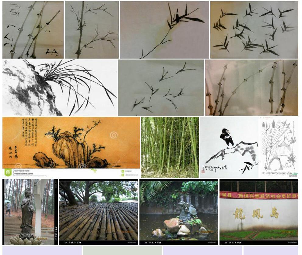 俯竹照片和图片/
