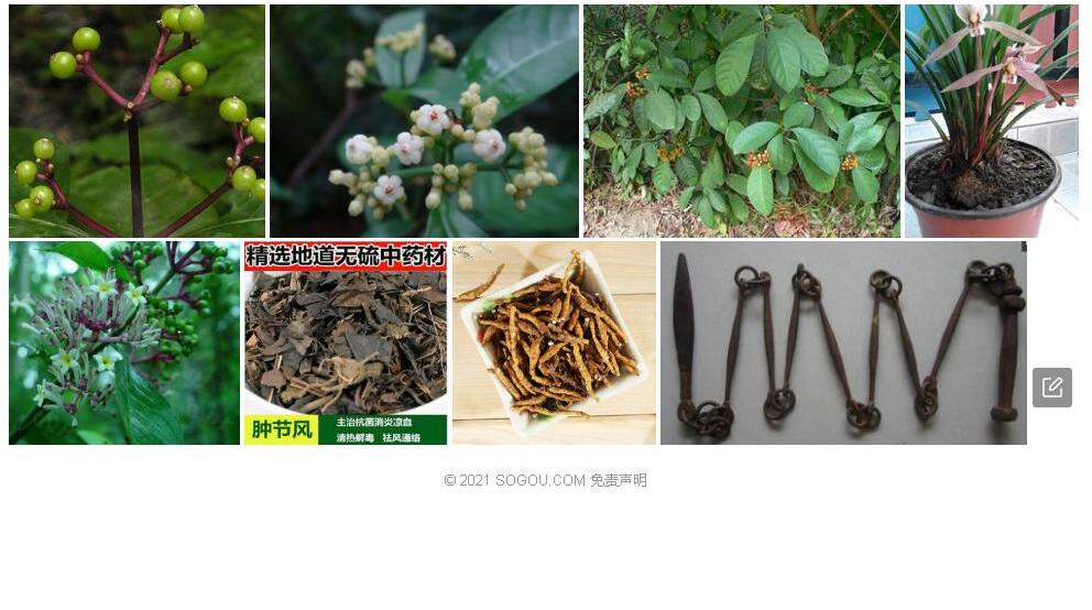 假九节照片和图片/