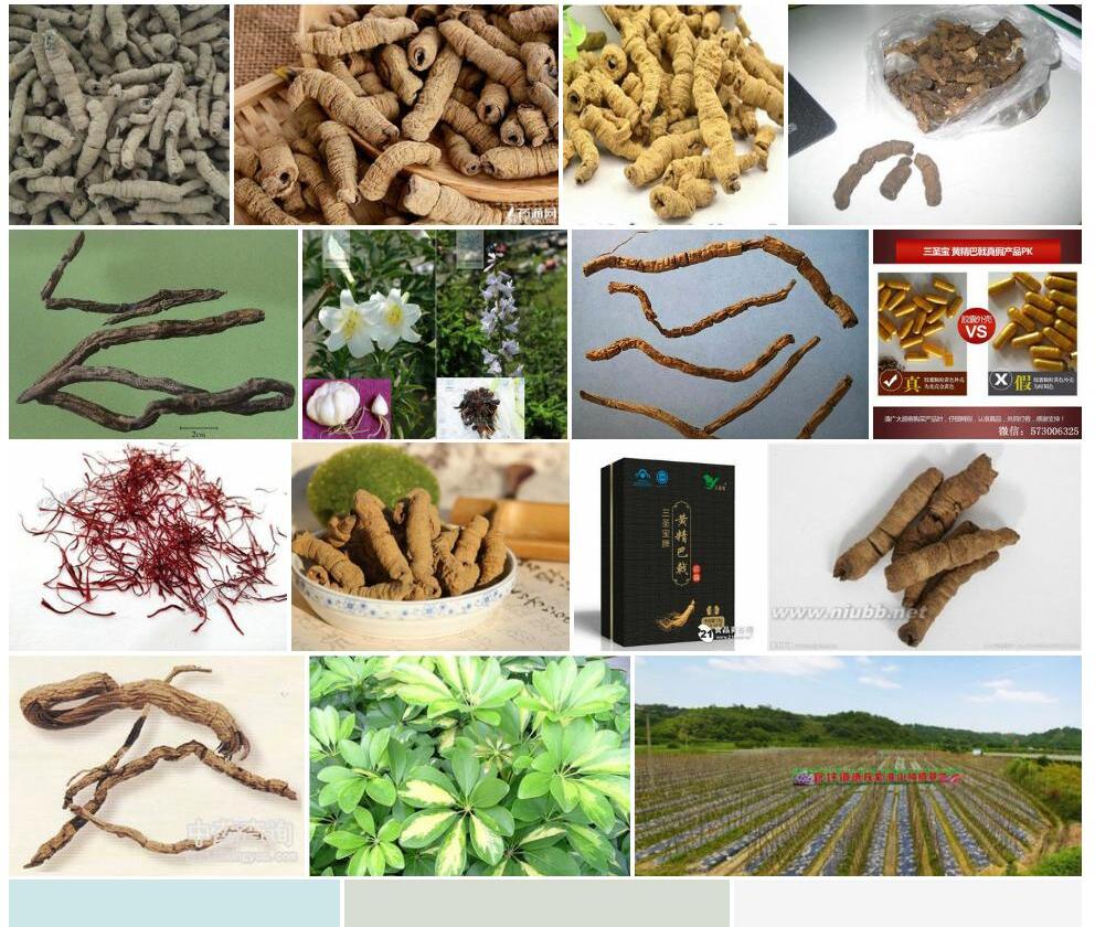 假巴戟照片和图片/