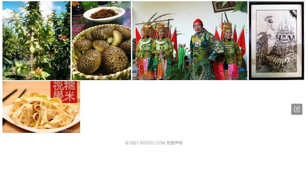 傣柿照片和图片/