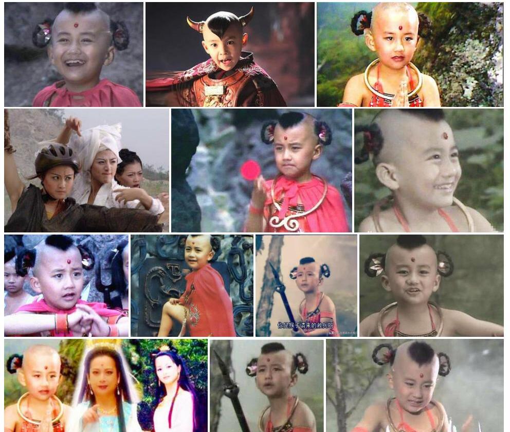 光叶红孩儿照片和图片/