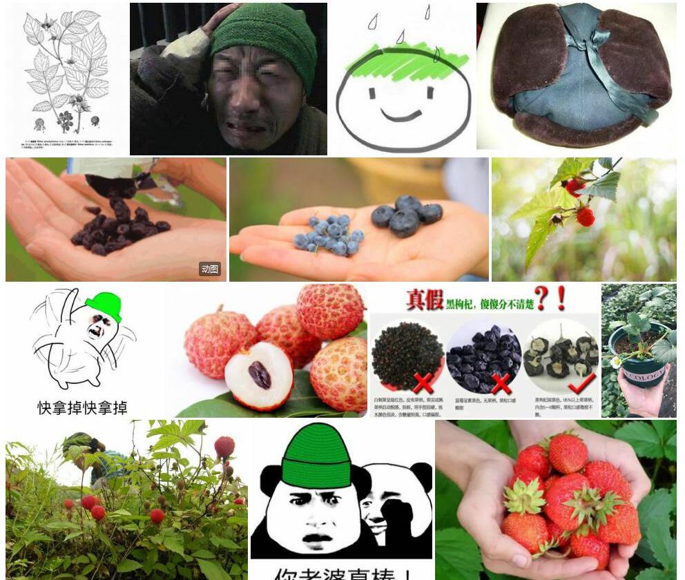 光梗假帽莓照片和图片/