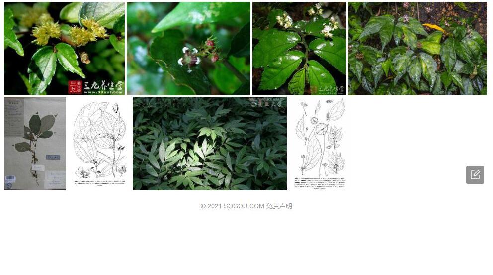 全缘赤车照片和图片/