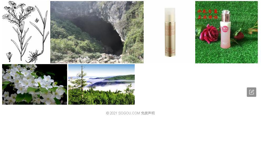 兴安乳菀照片和图片/