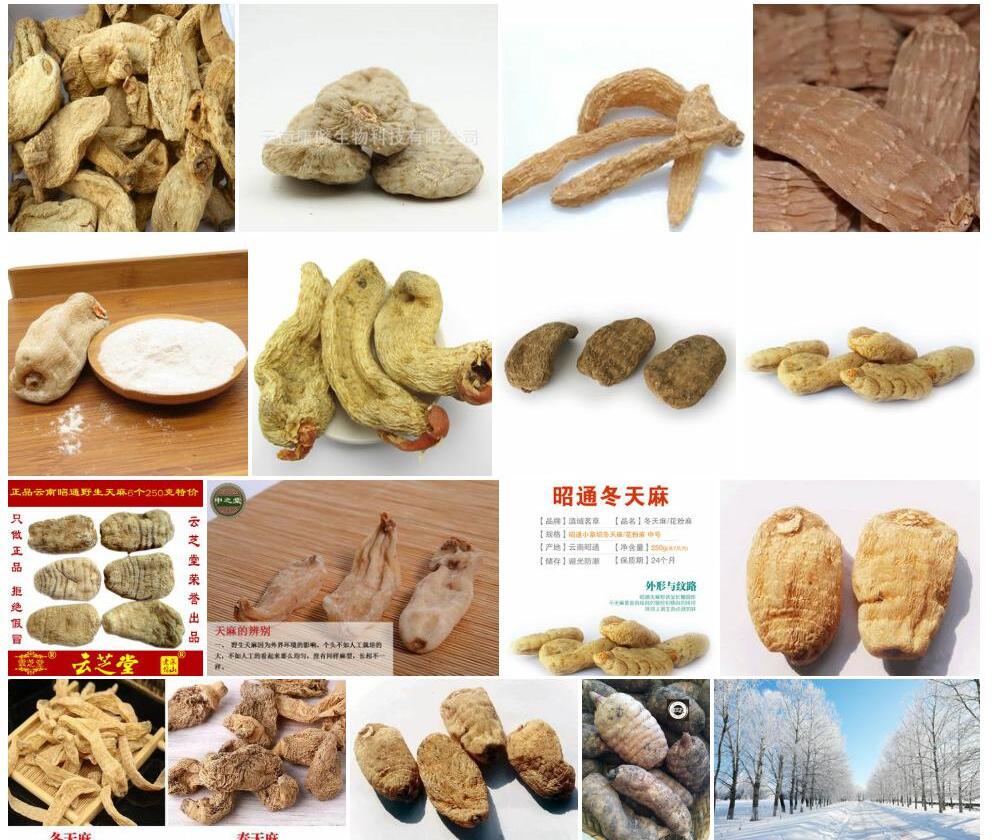 冬天麻照片和图片/