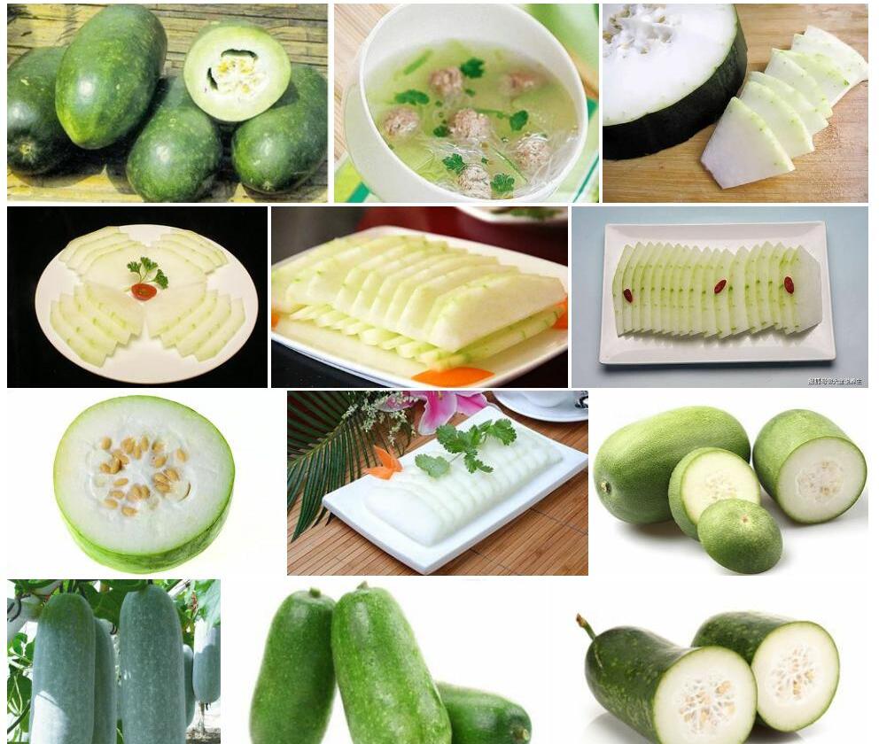 冬瓜照片和图片/