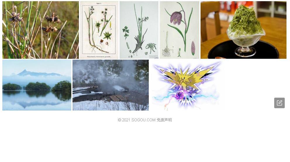 冰沼草照片和图片/
