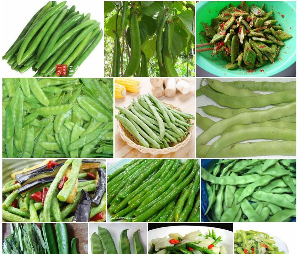 刀豆照片和图片/