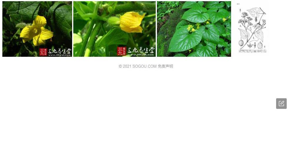 刚毛赤瓟照片和图片/