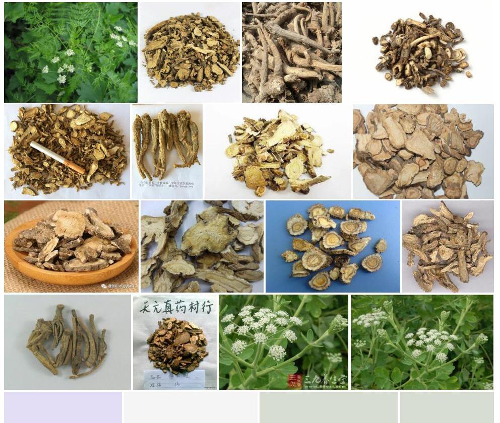 前胡照片和图片/