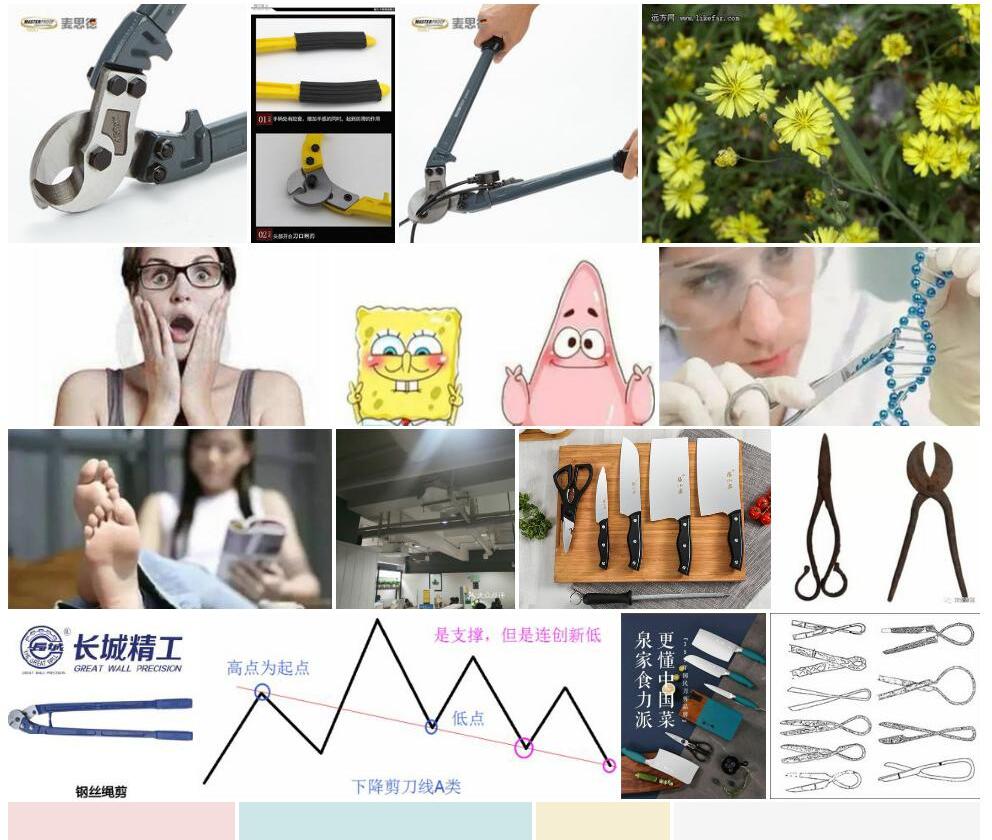 剪刀股照片和图片/
