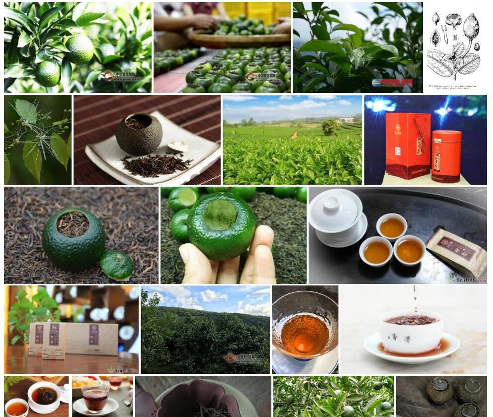 勐海山柑照片和图片/