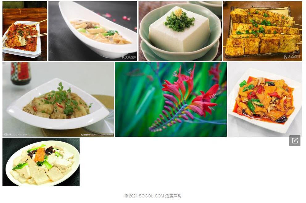 勐海豆腐柴照片和图片/