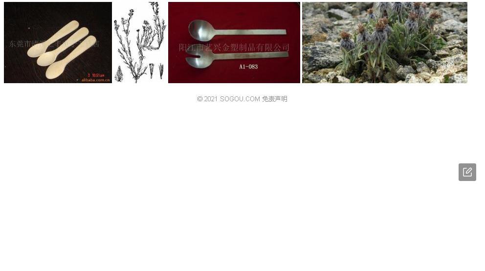 匙叶絮菊照片和图片/