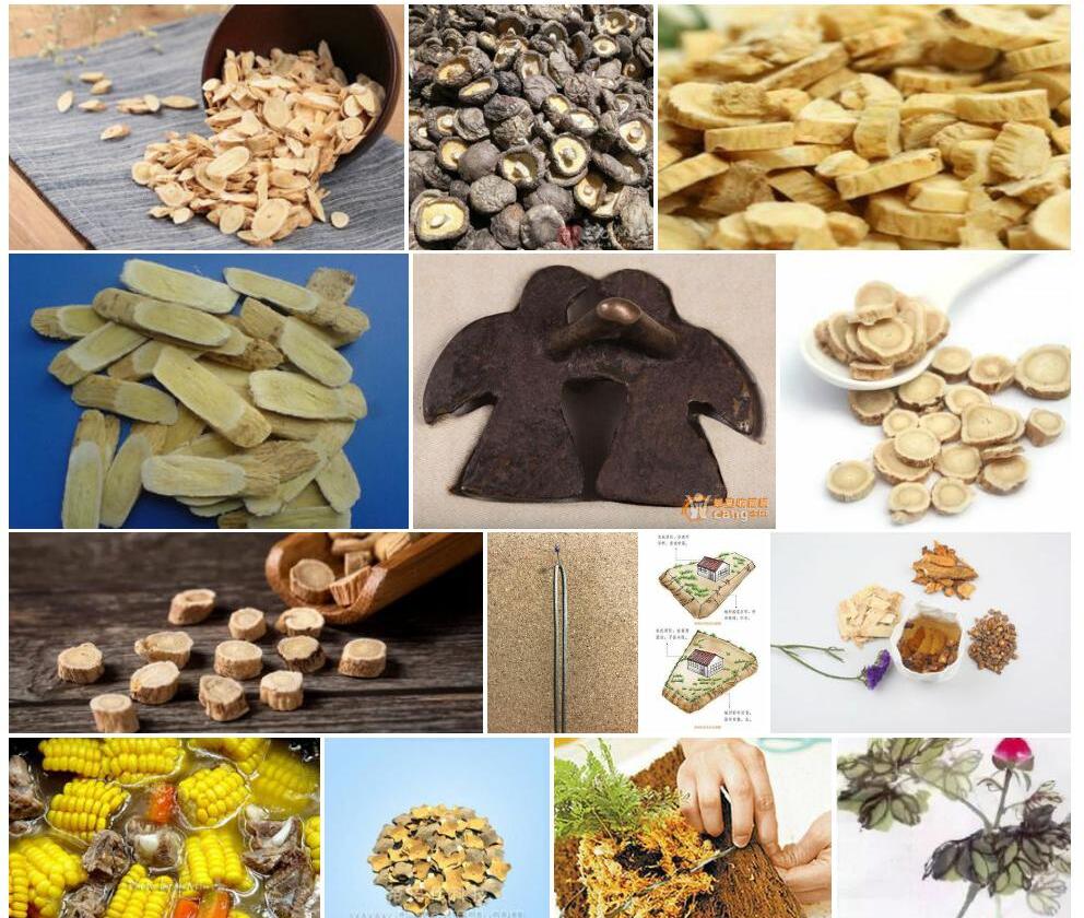 十字形黄耆照片和图片/