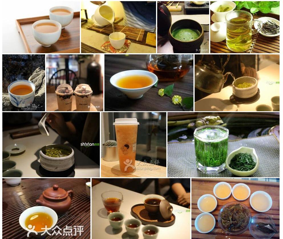南山茶照片和图片/