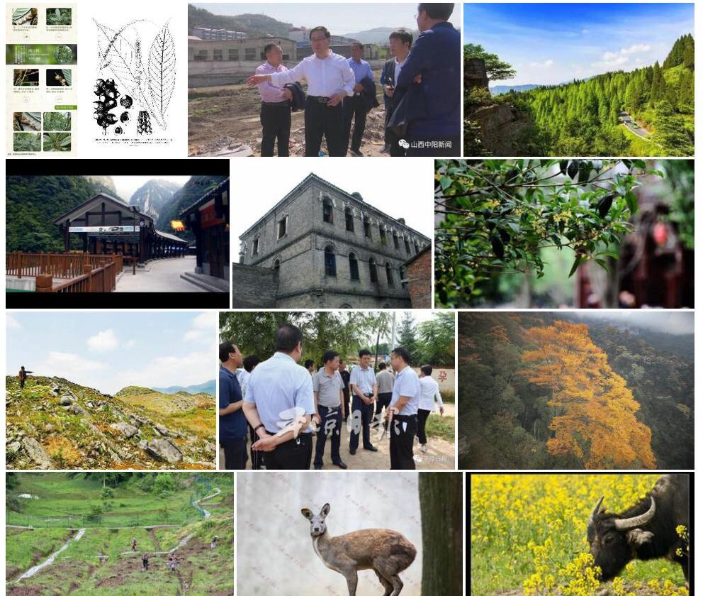 南川柯照片和图片/