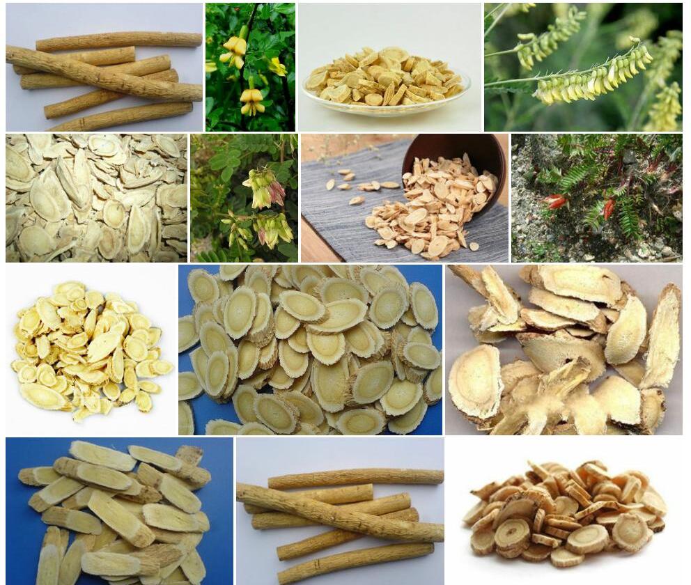 南疆黄耆照片和图片/