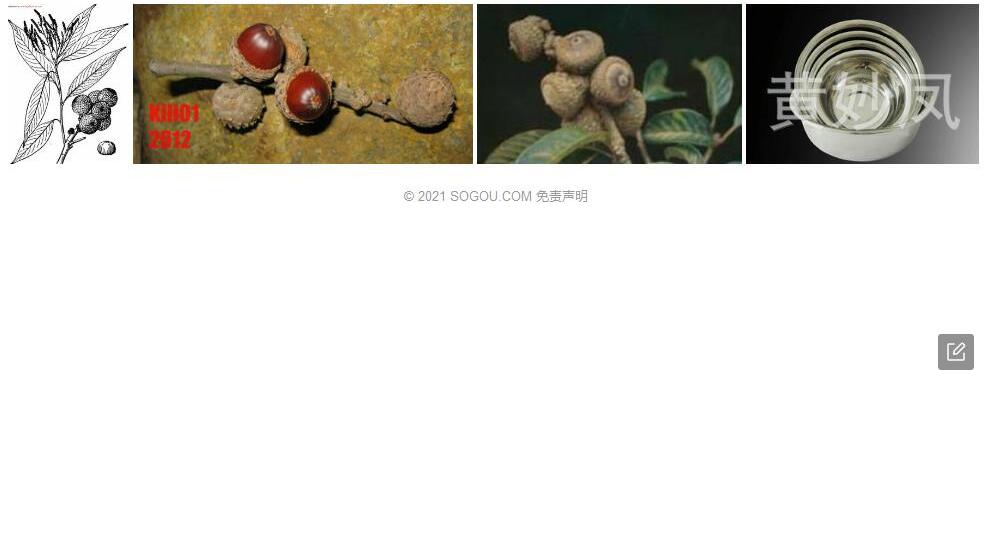 厚斗柯照片和图片/
