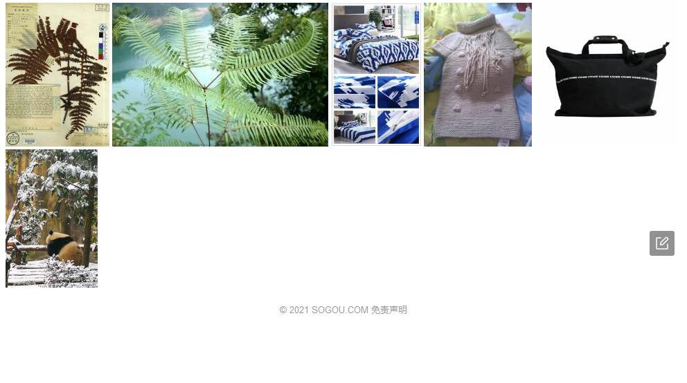 厚毛里白照片和图片/