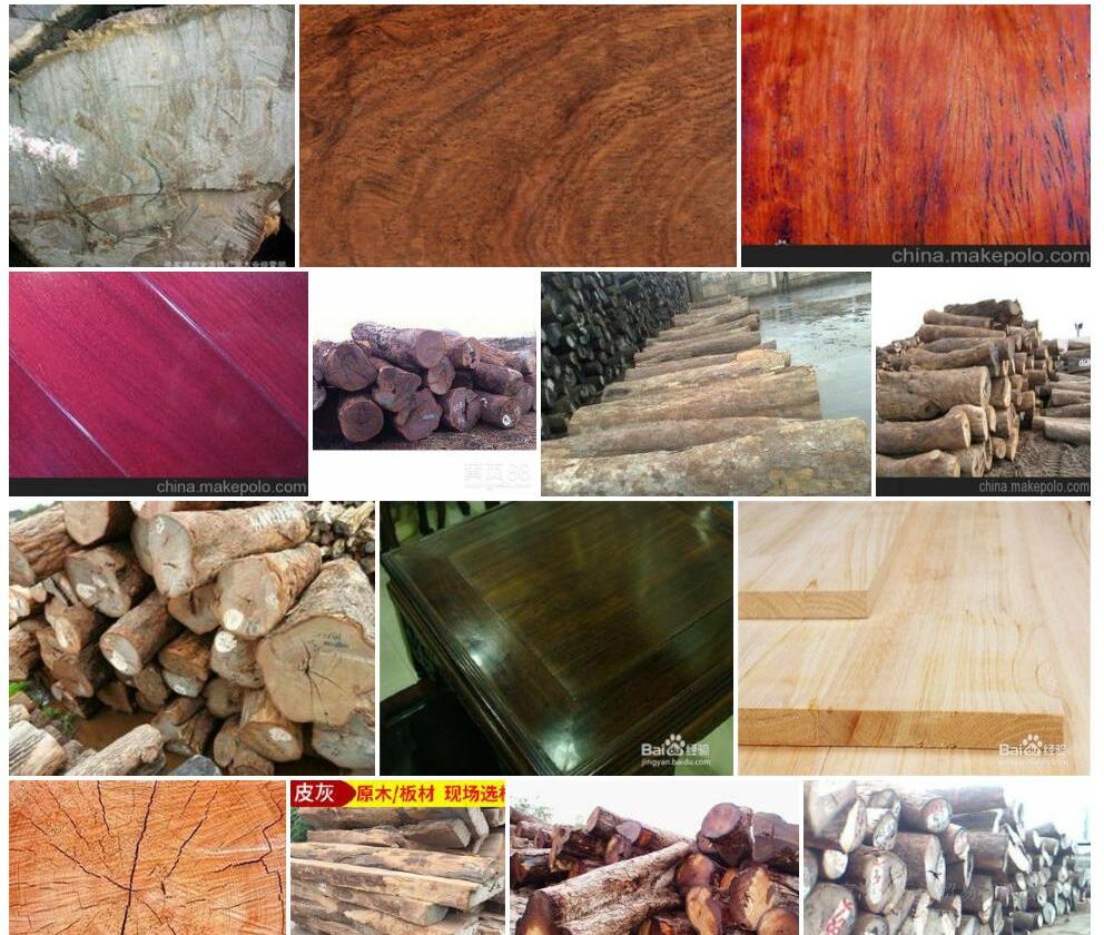 厚皮灰木照片和图片/