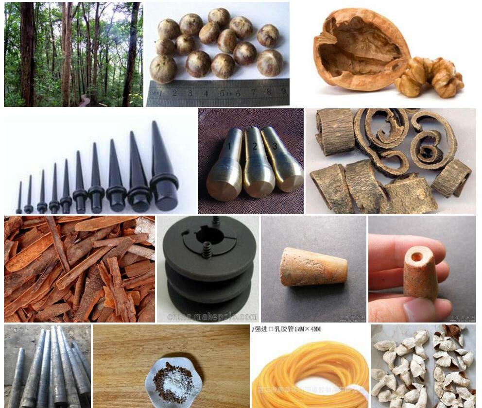 厚皮锥照片和图片/