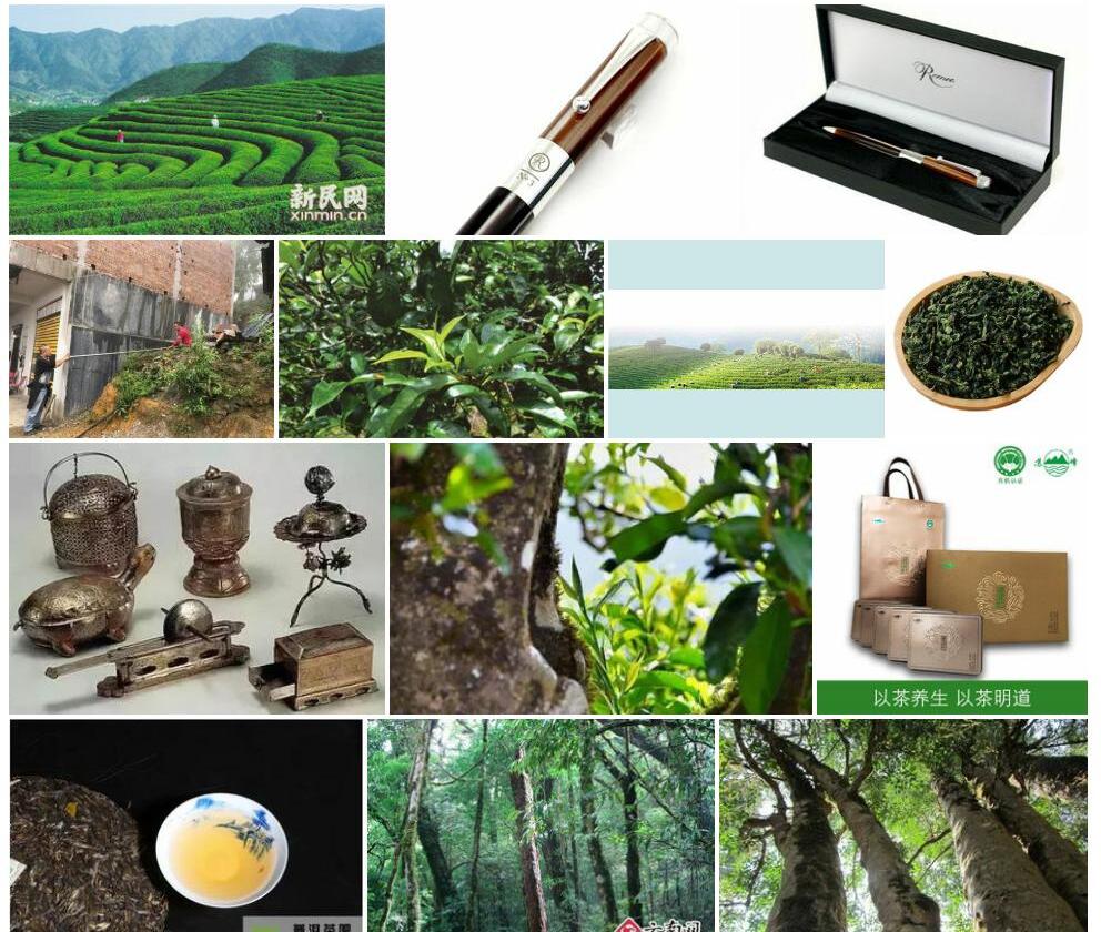 厚轴茶照片和图片/