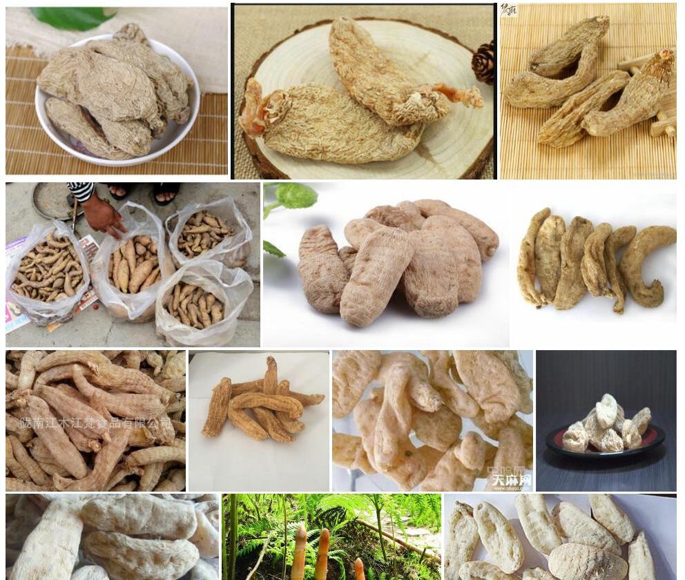 原天麻照片和图片/