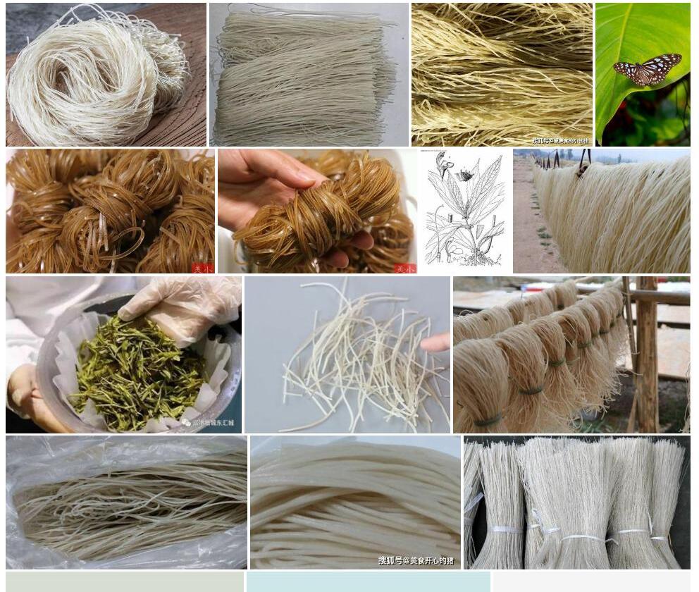 反折假鹤虱照片和图片/