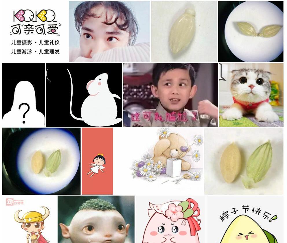 可爱黍照片和图片/