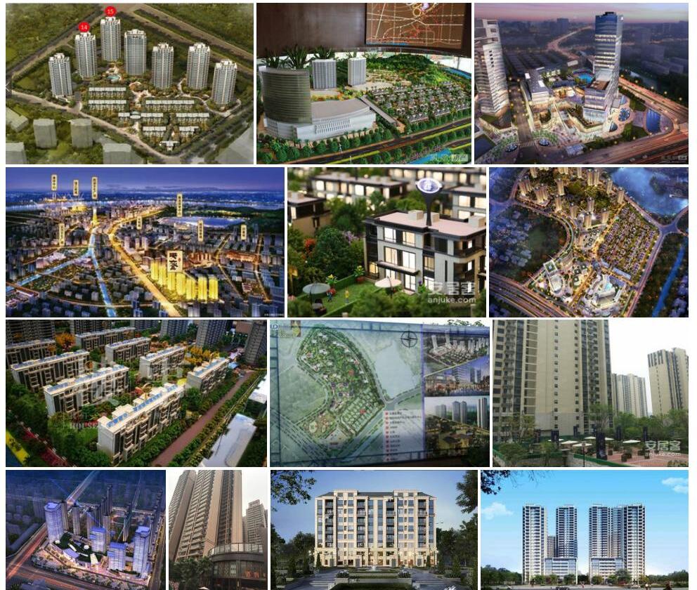 合景天照片和图片/
