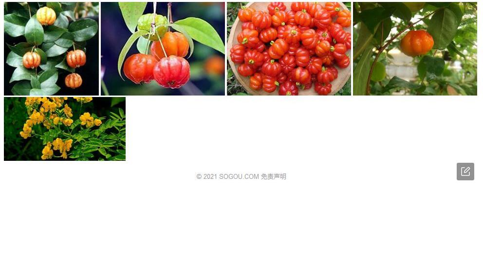 吕宋番樱桃照片和图片/