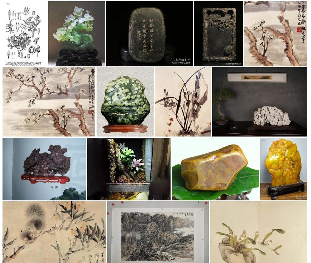 喜石黄耆照片和图片/
