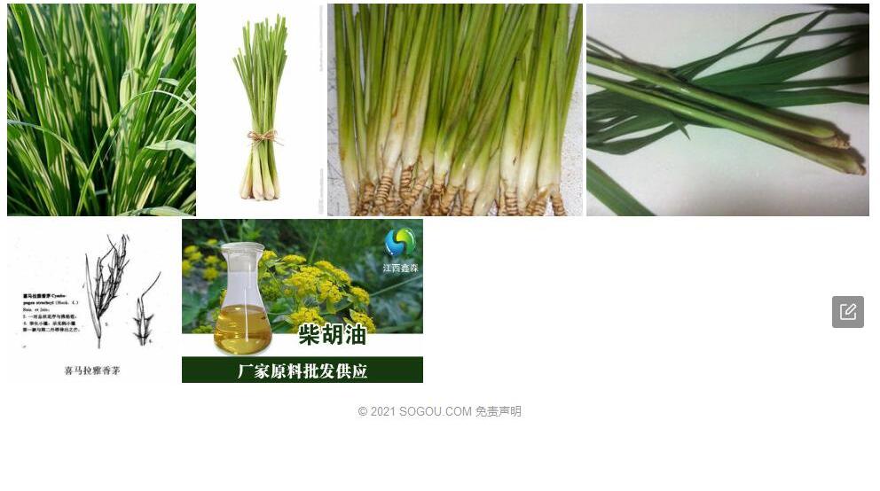 喜马拉雅香茅照片和图片/