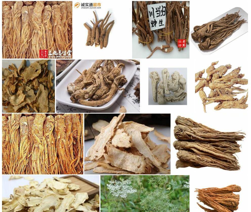 四川当归照片和图片/