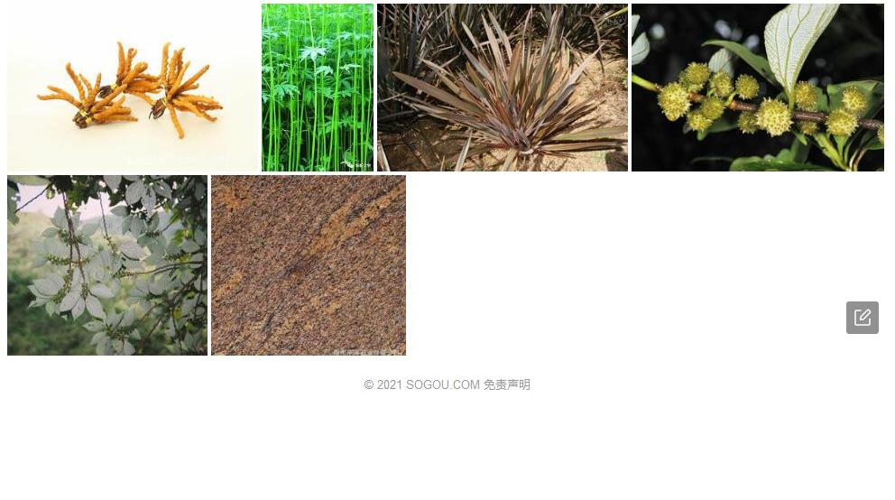 四脉麻照片和图片/