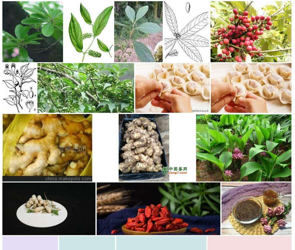 圆果木姜子照片和图片/