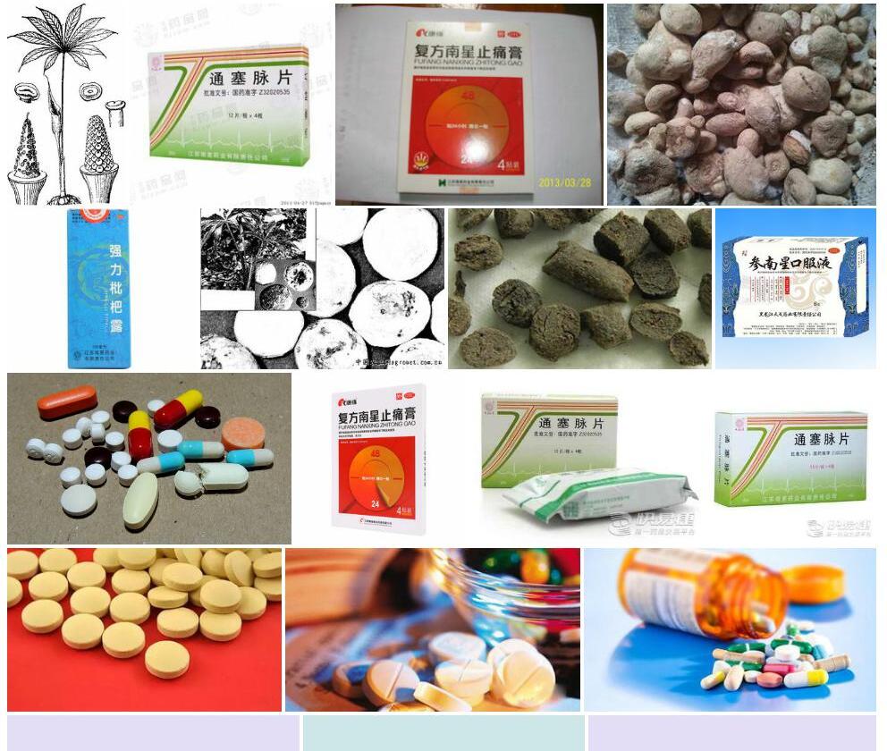 圈药南星照片和图片/